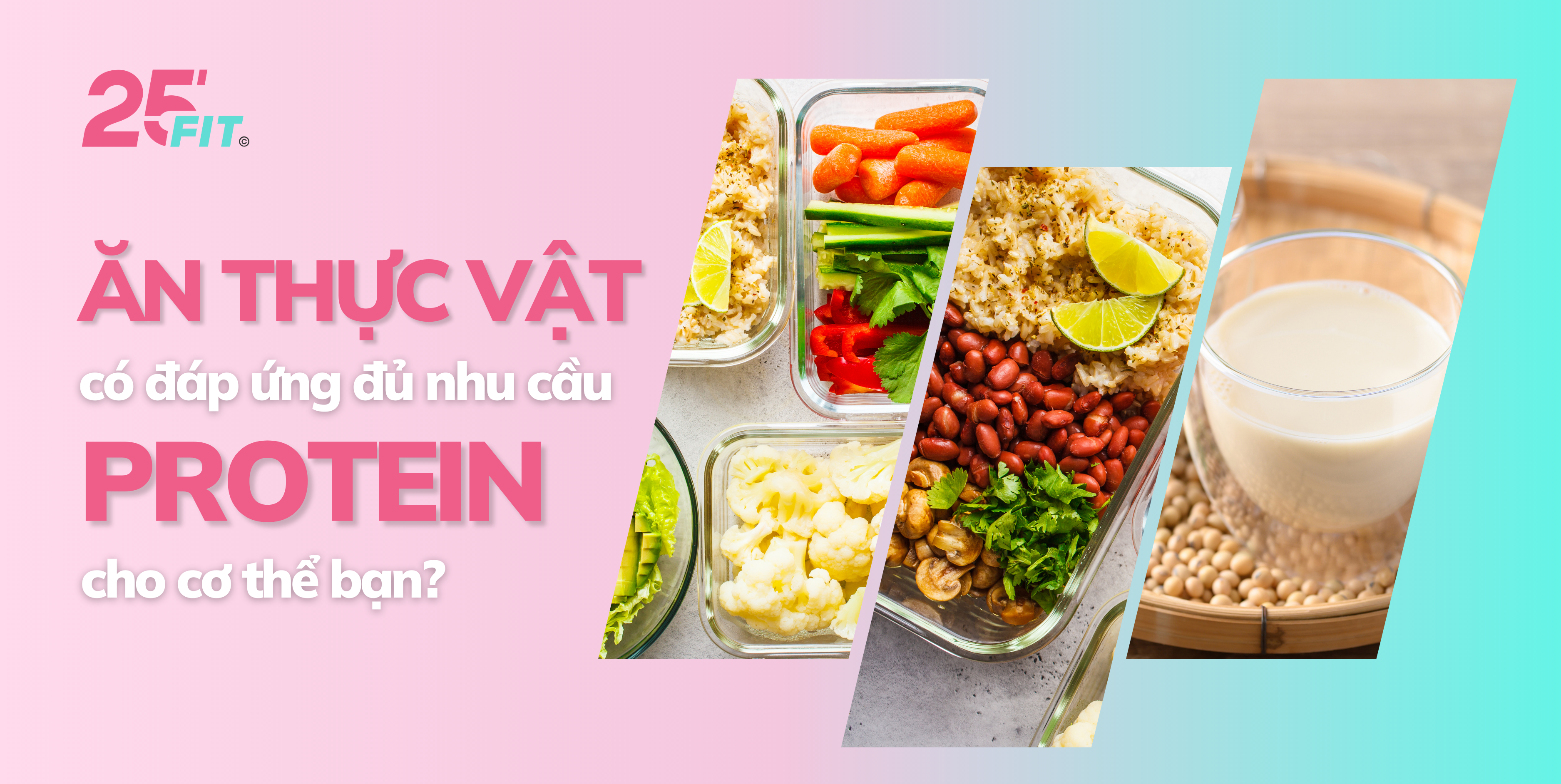 Ăn thực vật có đáp ứng đủ nhu cầu protein cho cơ thể?