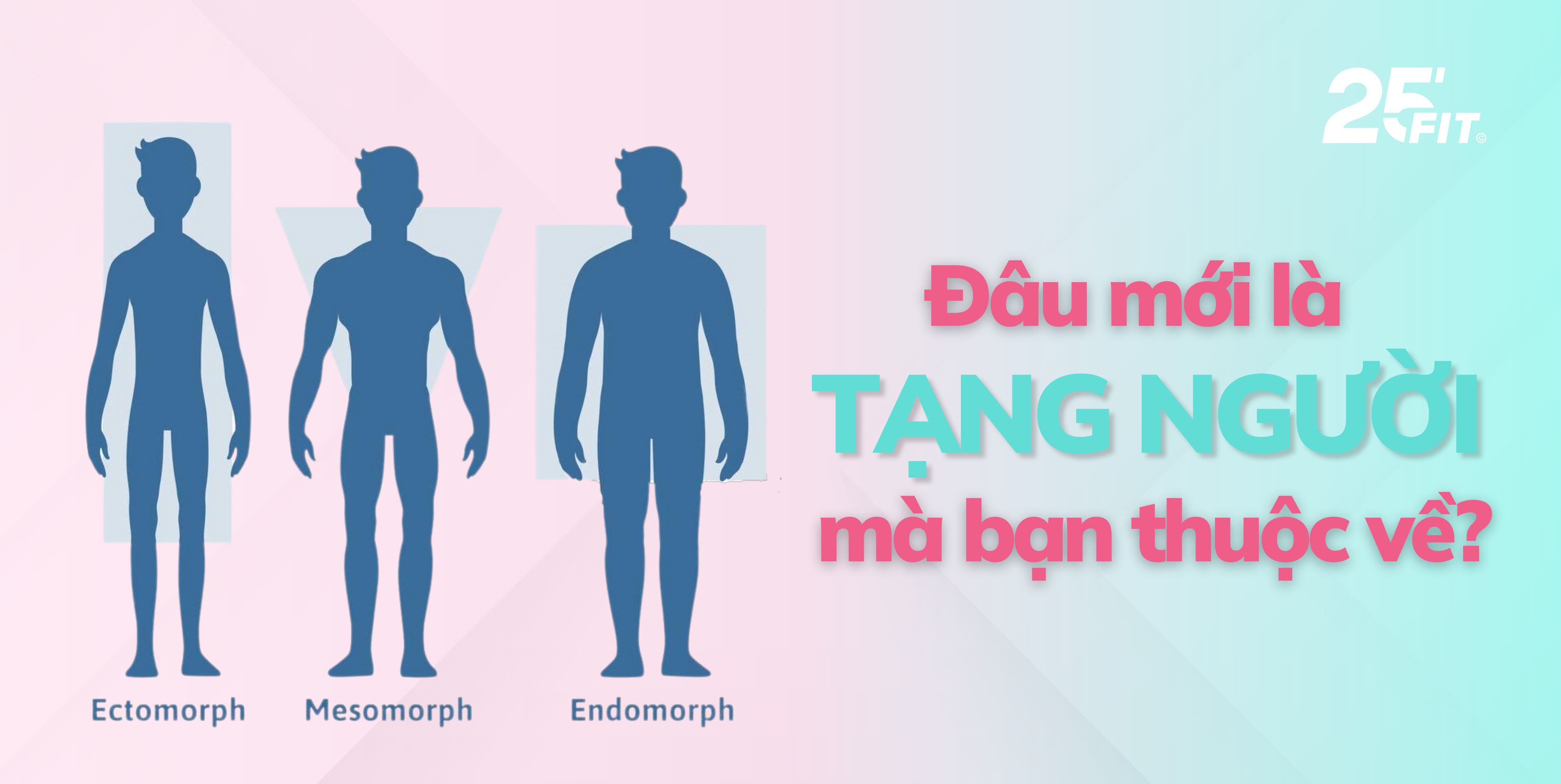 Bạn thuộc tạng người nào trong nhóm 3 tạng người phổ biến hiện nay?