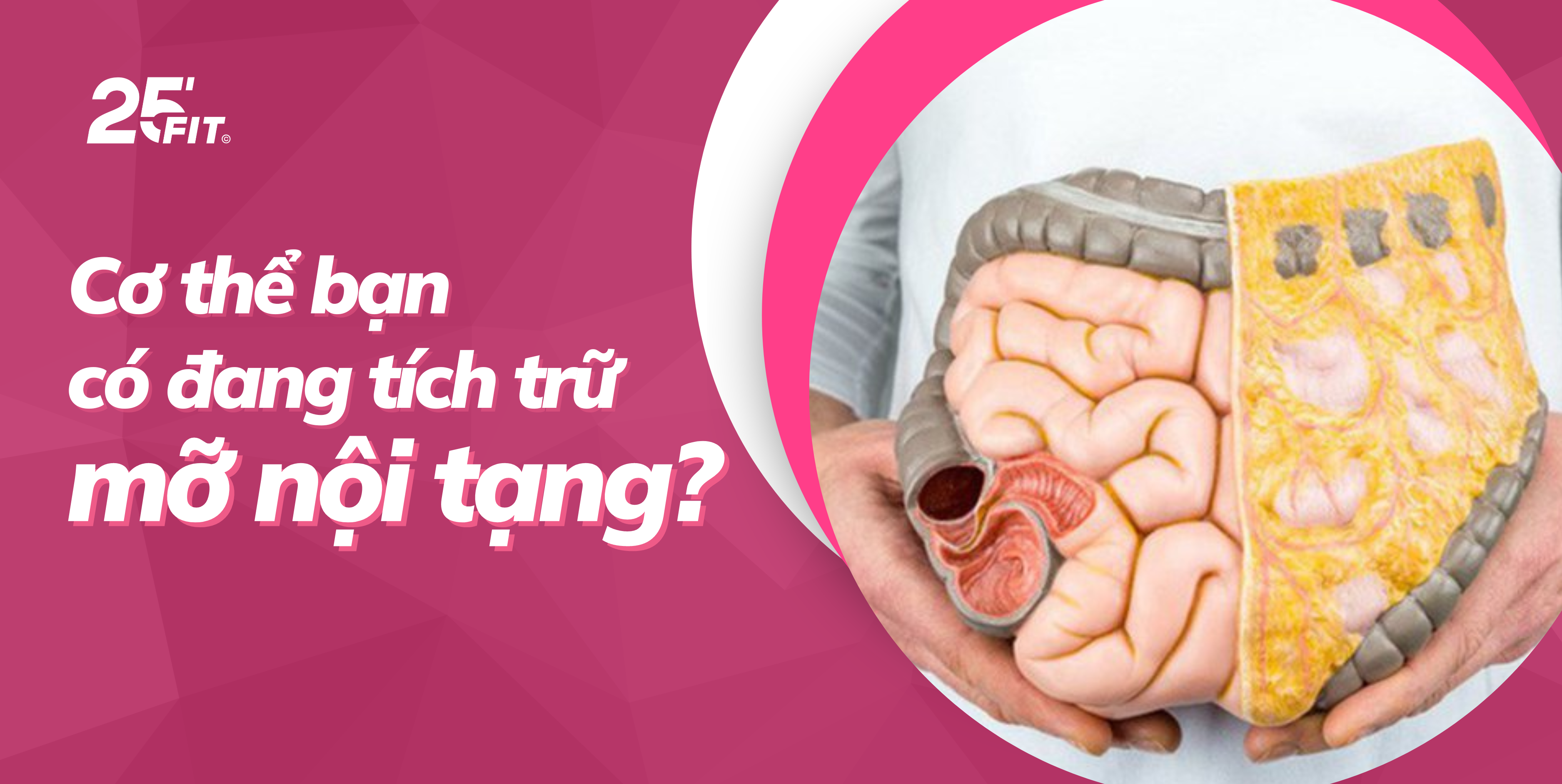 6 dấu hiệu cho thấy cơ thể bạn đang tích đầy mỡ nội tạng