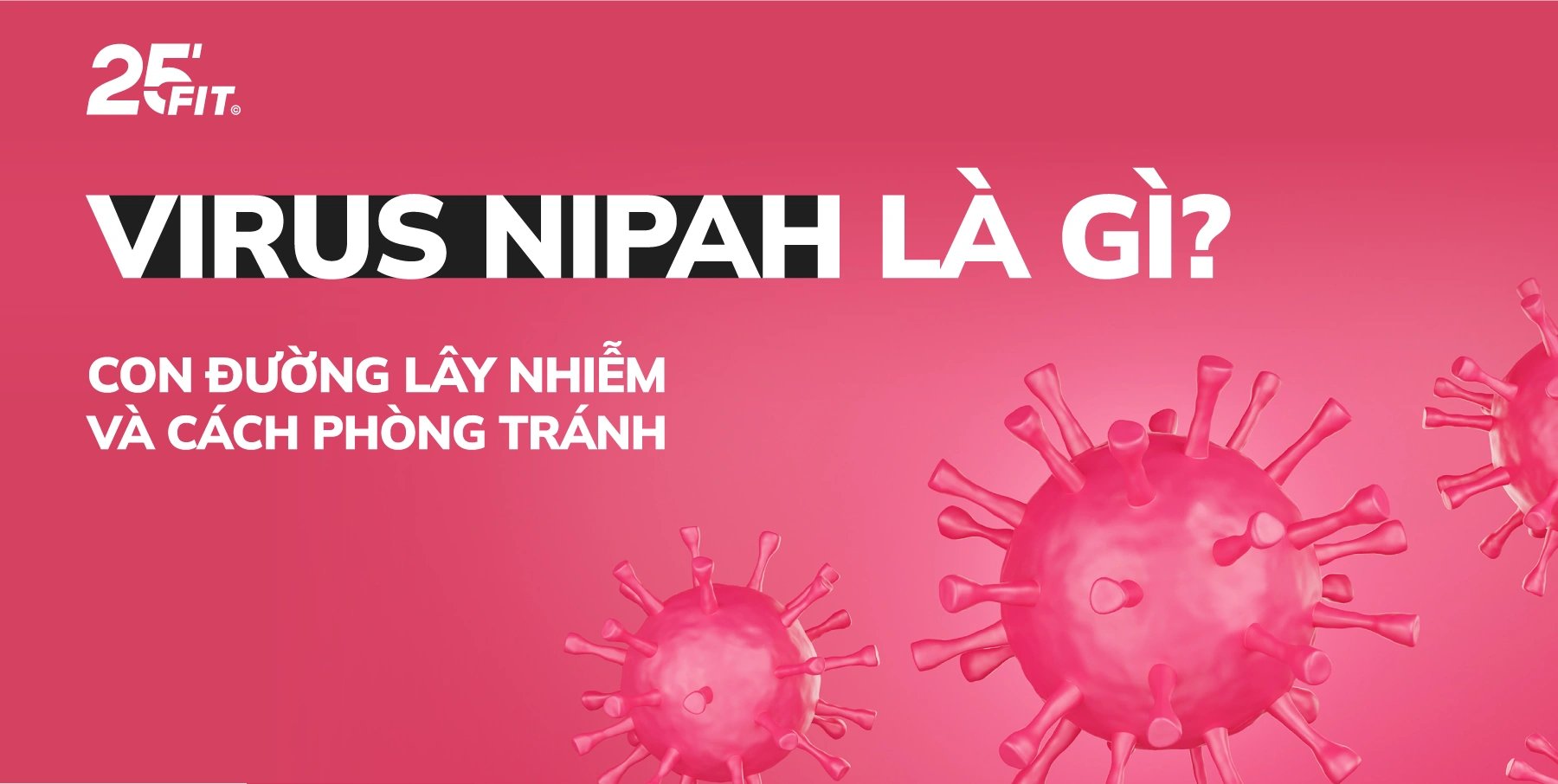 Virus Nipah là gì? Con đường lây nhiễm và cách phòng tránh